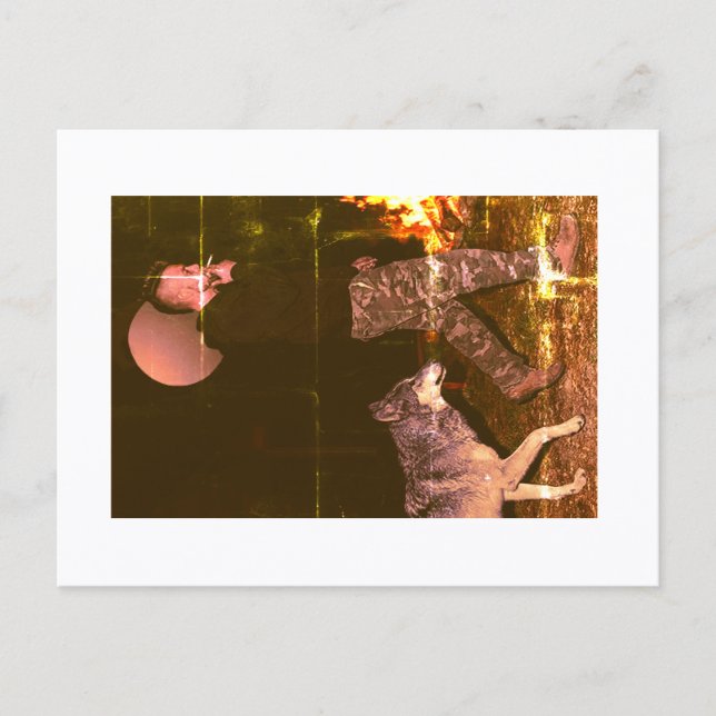 Approachable Wolf Postcard (Front)