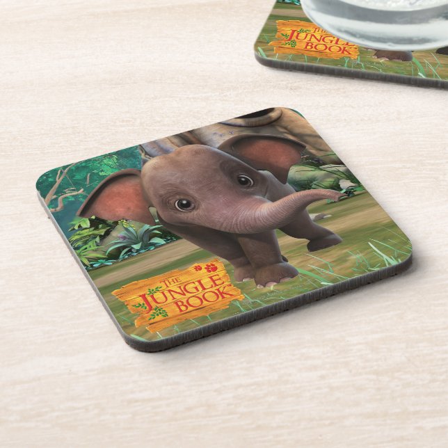 Appu Coaster (Left Side)