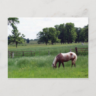 Appy on the farm postcard