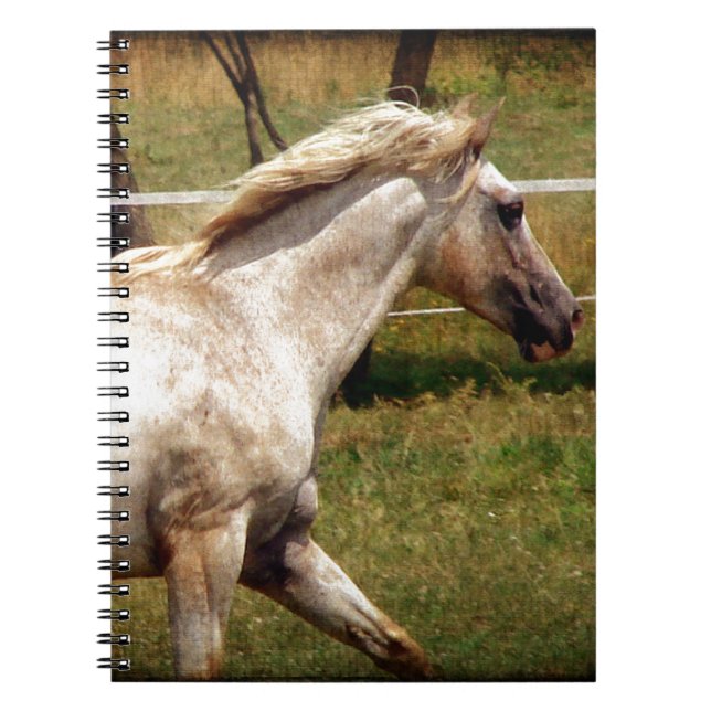 Appy Spiral Notebook (Front)