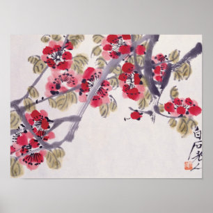 Apricot Blossoms Print