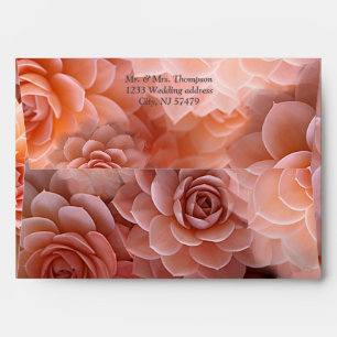 Apricot Crush Succulent Colours for 2024 Envelope