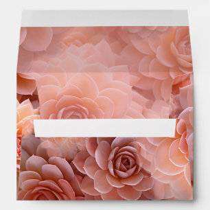 Apricot Crush Succulent Colours for 2024 Envelope