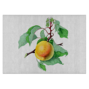 Apricot Fruit Tree  Branch Colourful Cutting Board