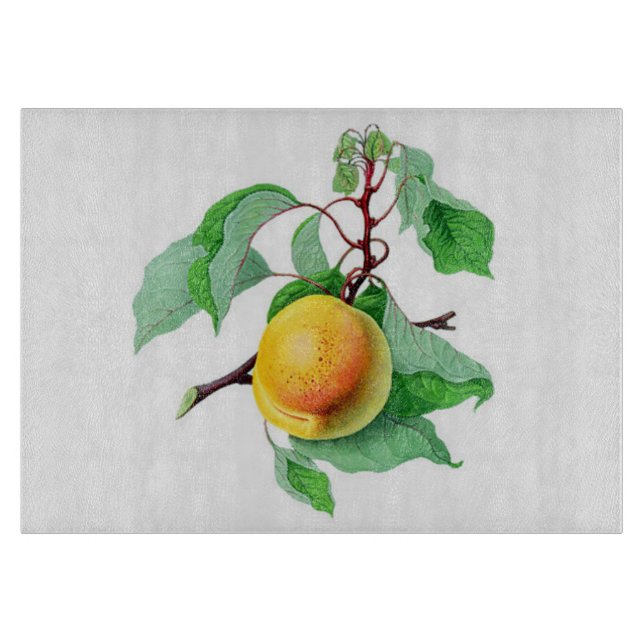 Apricot Fruit Tree  Branch Colourful Cutting Board (Front)