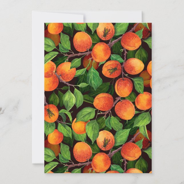 Apricot garden 1 (Front)