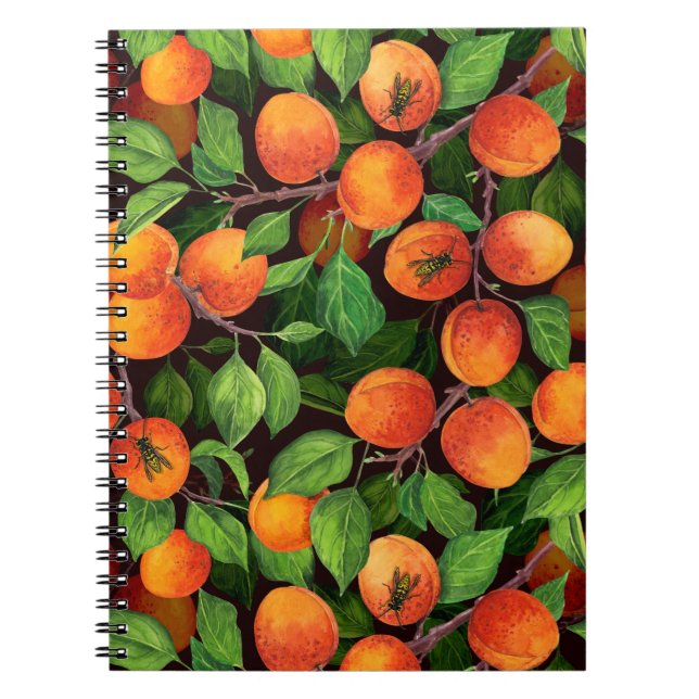 Apricot garden 1 notebook (Front)