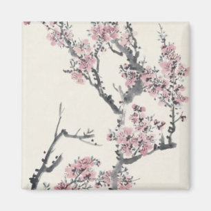 Apricot Magnet