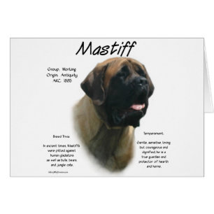 Apricot Mastiff History