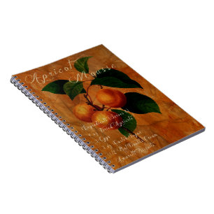 Apricot Mousse Spiral Notebook