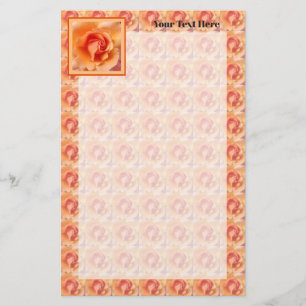 Apricot Peach Rose Flower Close Up Photo Design Stationery