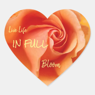 Apricot Peach Rose Flower Close Up Photo Heart Sticker