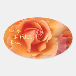 Apricot Peach Rose Flower Close Up Photo Oval Sticker