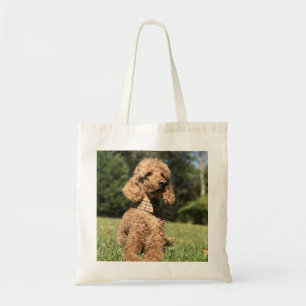 Apricot Poodle Customisable Tote Bag