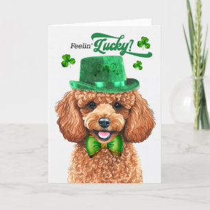 Apricot Poodle Dog Feelin' Lucky St Patrick's Day Holiday Card