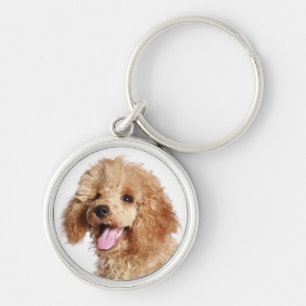 Apricot Poodle Mum Puppy Dog Dad Fur Mama Puppies Key Ring