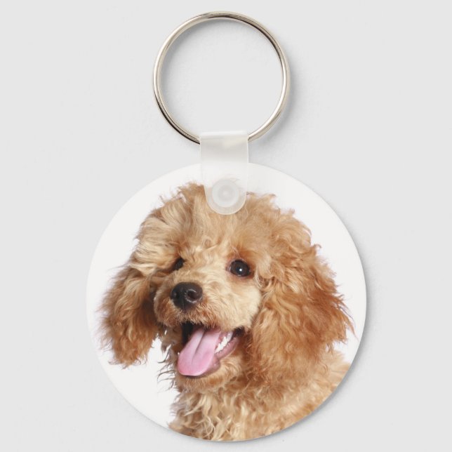 Apricot Poodle Mum Puppy Dog Dad Fur Mama Puppies Key Ring (Front)