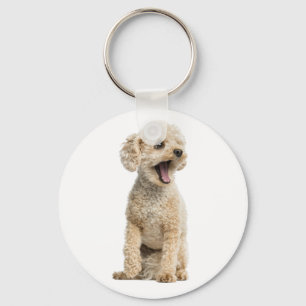 Apricot Poodle Puppy Dog Key Ring