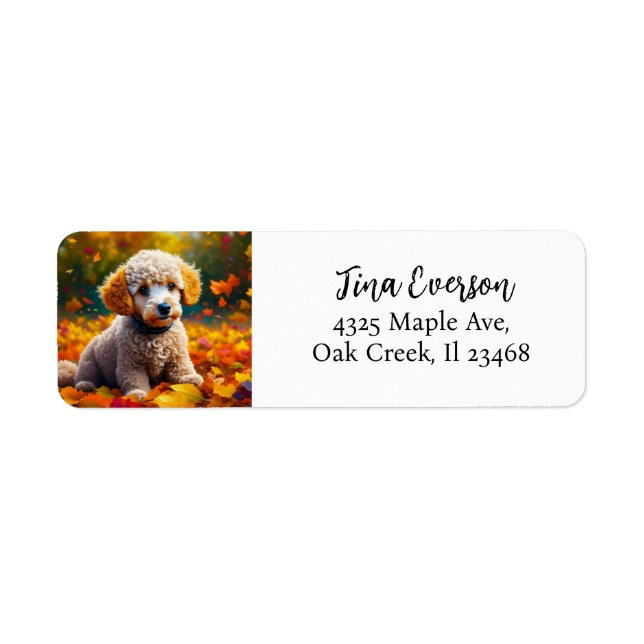 Apricot Poodle Puppy in Fall Leaves (Front)