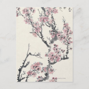 Apricot Postcard