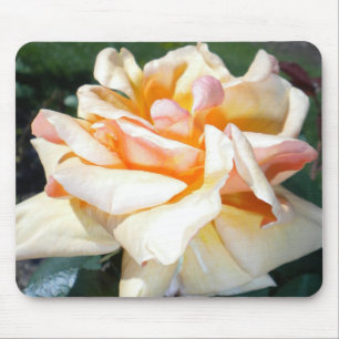 Apricot Rose Mouse Pad