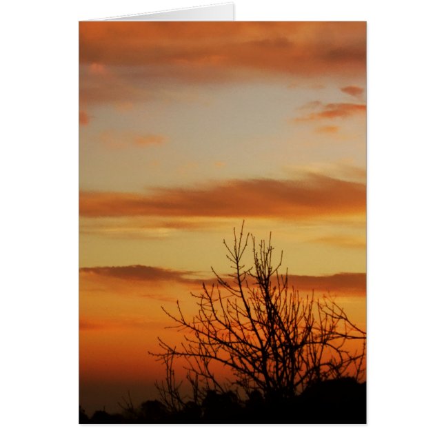 apricot skyscapes Card (Front)