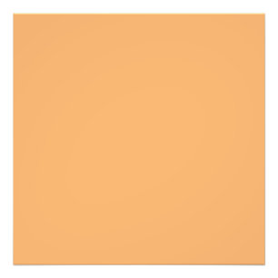 Apricot (solid colour)  photo print