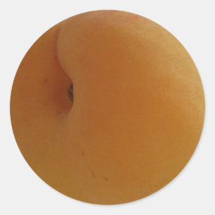 Apricot Sticker