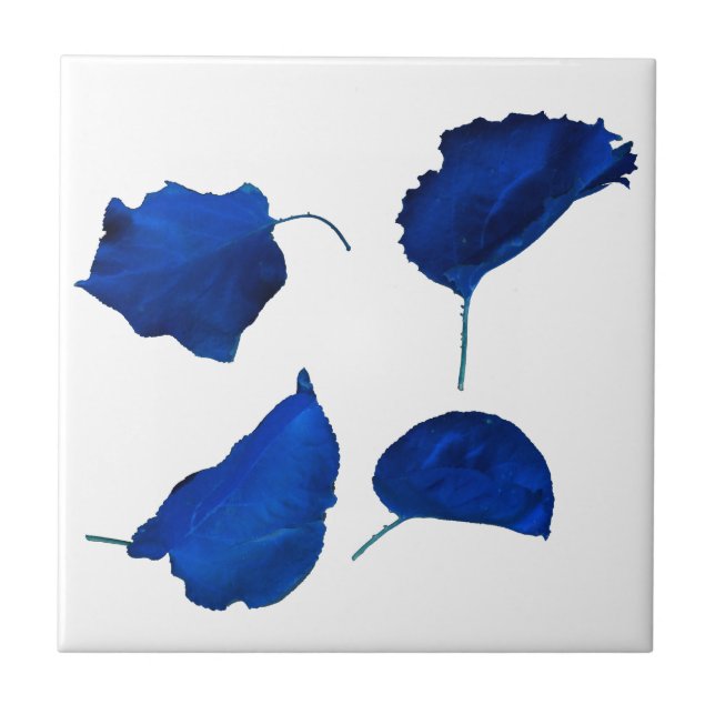 Apricot Tree Dark Royal Blue Leaves  Tile (Front)