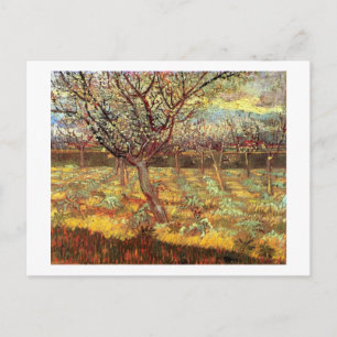 Apricot Trees in Blossom by Van Gogh Postcard