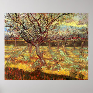 Apricot Trees in Blossom by Vincent van Gogh Poster