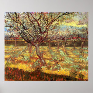Apricot Trees in Blossom by Vincent van Gogh Poster
