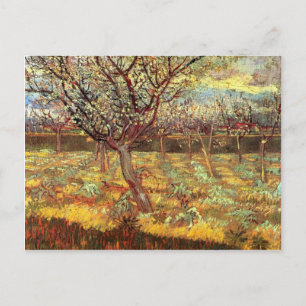 Apricot Trees in Blossom, Vincent van Gogh. Vinta Postcard