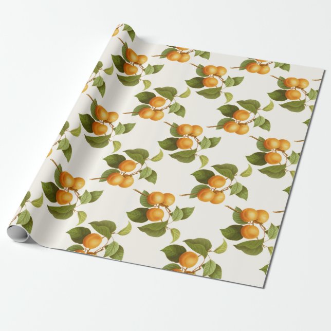Apricot Wrapping Paper (Unrolled)