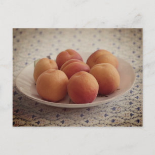 Apricots on a plate postcard