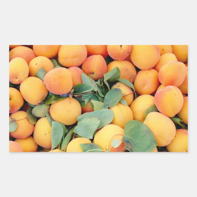 Apricots Rectangular Sticker (Front)