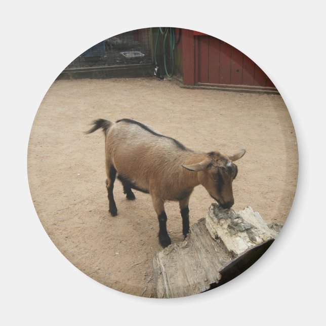 April 3 (11) Magnet (Front)