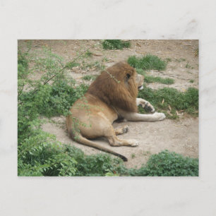 April 3 (1) Postcard