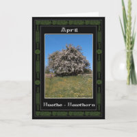April Birthday Celtic Oracle Divination