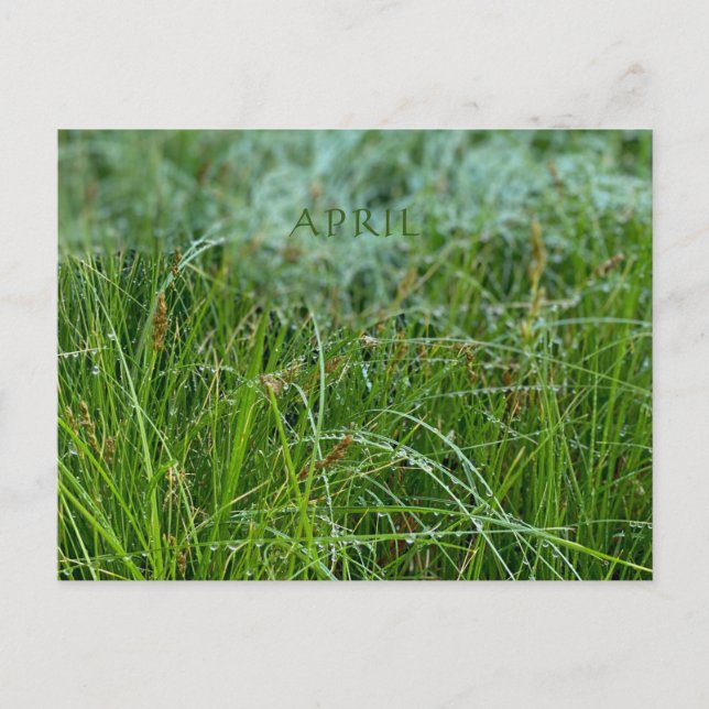 APRIL POSTCARD (Front)