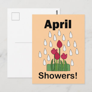 April Showers Pink Daisy Flower Floral Postcard