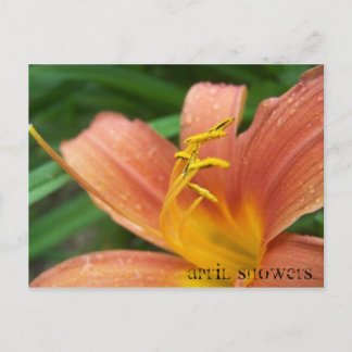 April Showers Postcard