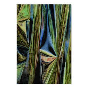 "April Woods III" Digitally Altered Abstract Photo Print