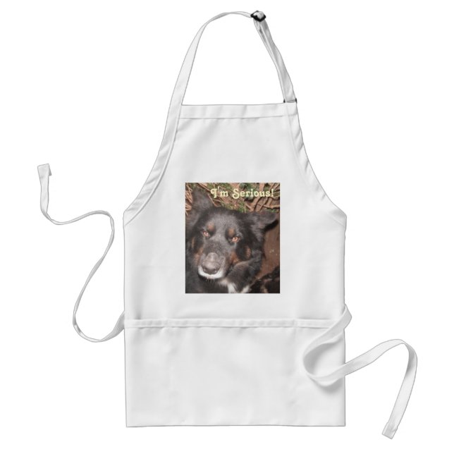 Apron Husky Collie Cross (Front)