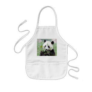 Apron Photo giant panda , animals 0084.