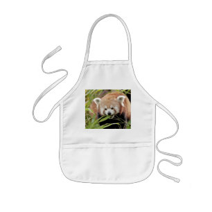 Apron Photo red panda , animals 0109.