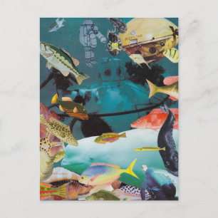 Aqua Adventures Postcard