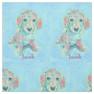 aqua and coral dachshund personalizable fabric