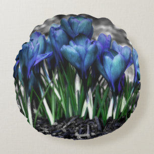 Aqua Blue Crocus Blooms Round Cushion