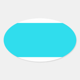 Aqua Blue Oval Sticker